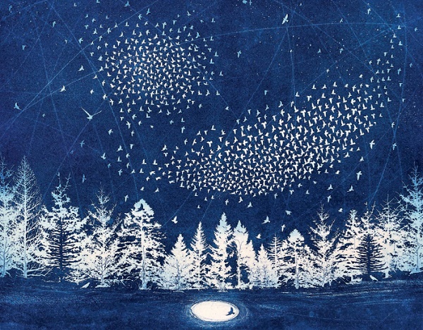 'The Starry Messenger' by Fiona Watson NEW g2 (6 card pack) (BX03) Christmas Back In Stock Soon