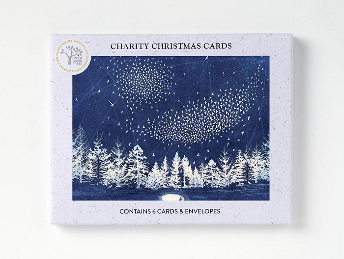 'The Starry Messenger' by Fiona Watson NEW g2 (6 card pack) (BX03) Christmas Back In Stock Soon