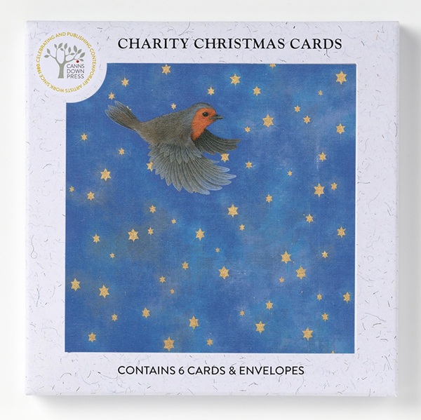'Night Flight' by Louise Crabb NEW (6 card pack) (BX09) g2 Christmas Coming Soon