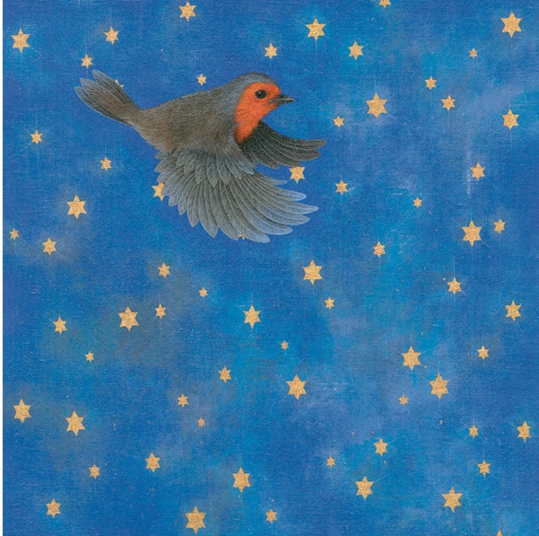 'Night Flight' by Louise Crabb NEW (6 card pack) (BX09) g2 Christmas Coming Soon