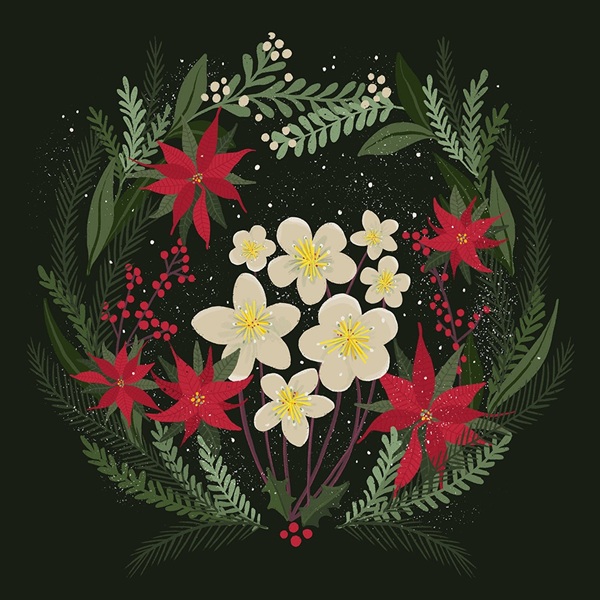 'Winter Flowers' by Anjana MIstry NEW (6 card pack) (BX13) g2 Christmas Coming Soon